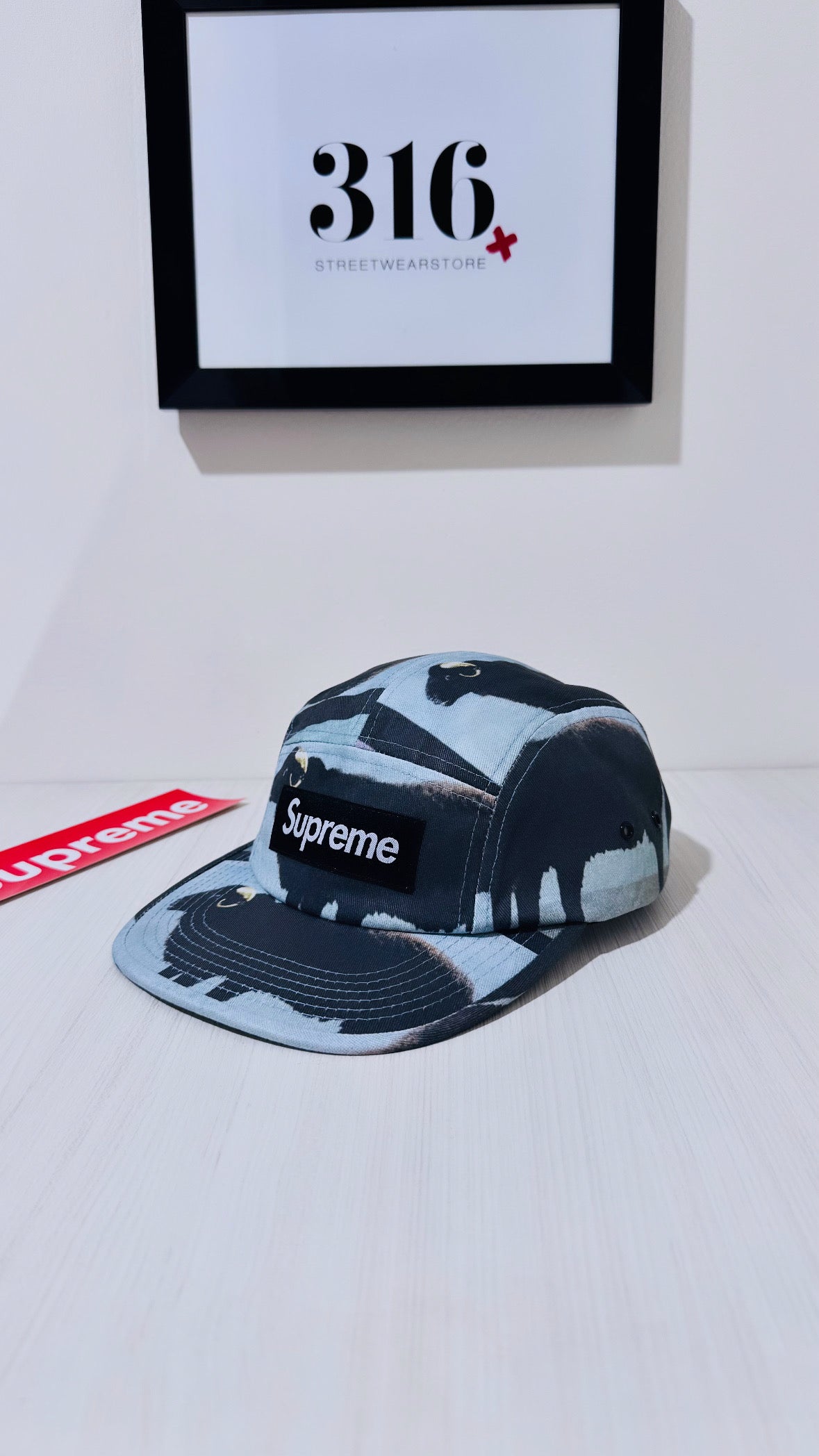 Supreme damien hirst cap