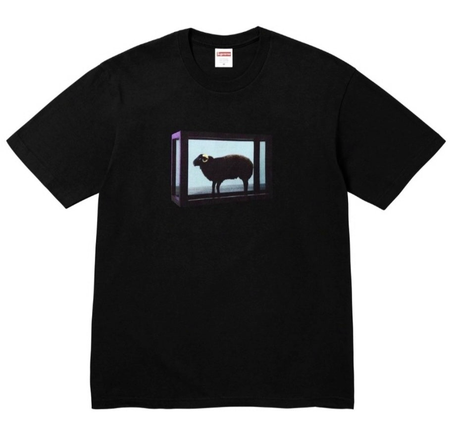 Supreme tee damien hirst