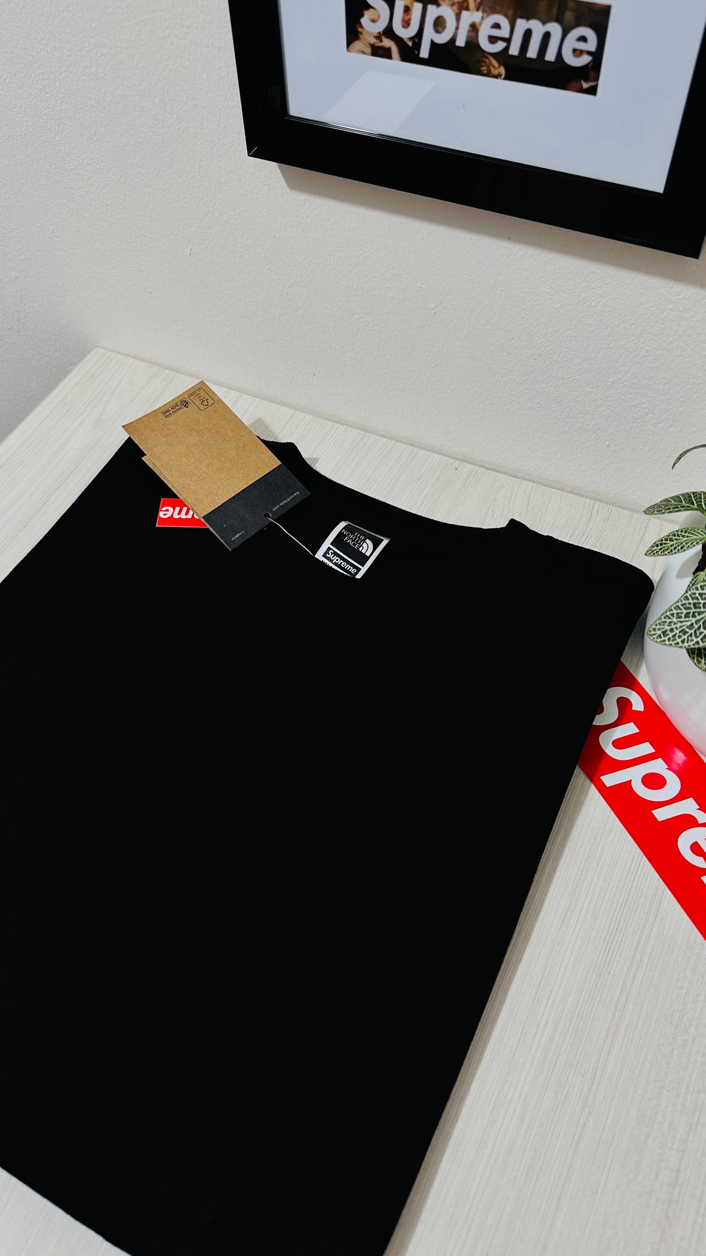 Supreme tee (THE NORTH FACE )(black ) SS2024