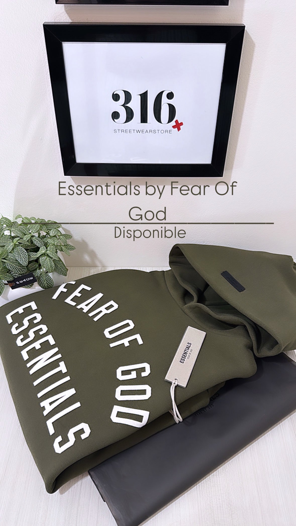 ESSENTIALS fleece hoodie