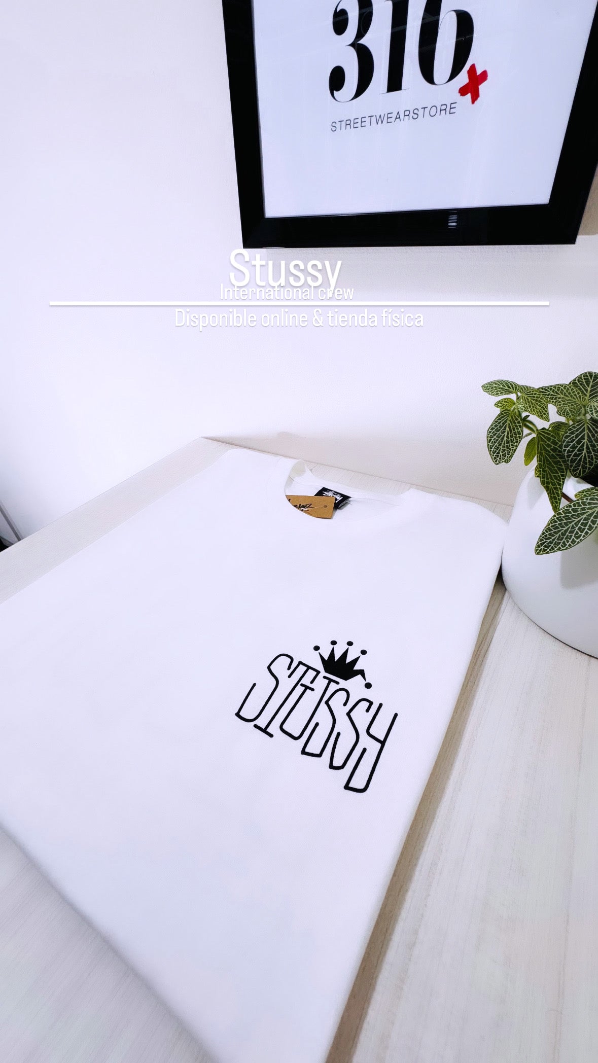 Stüssy tee (Internationalcrew)