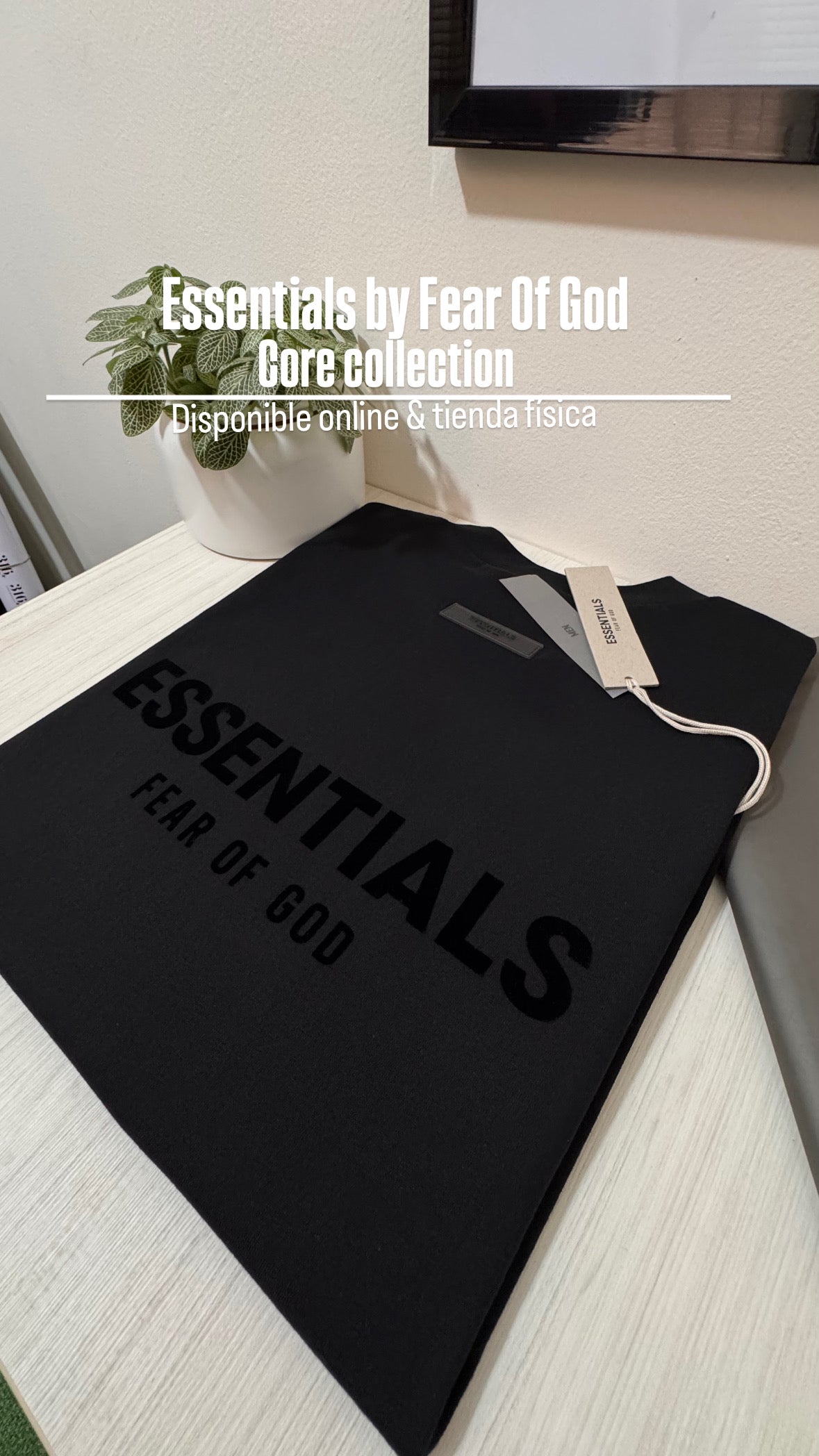 ESSENTIALS t-shirt Core collection 2022