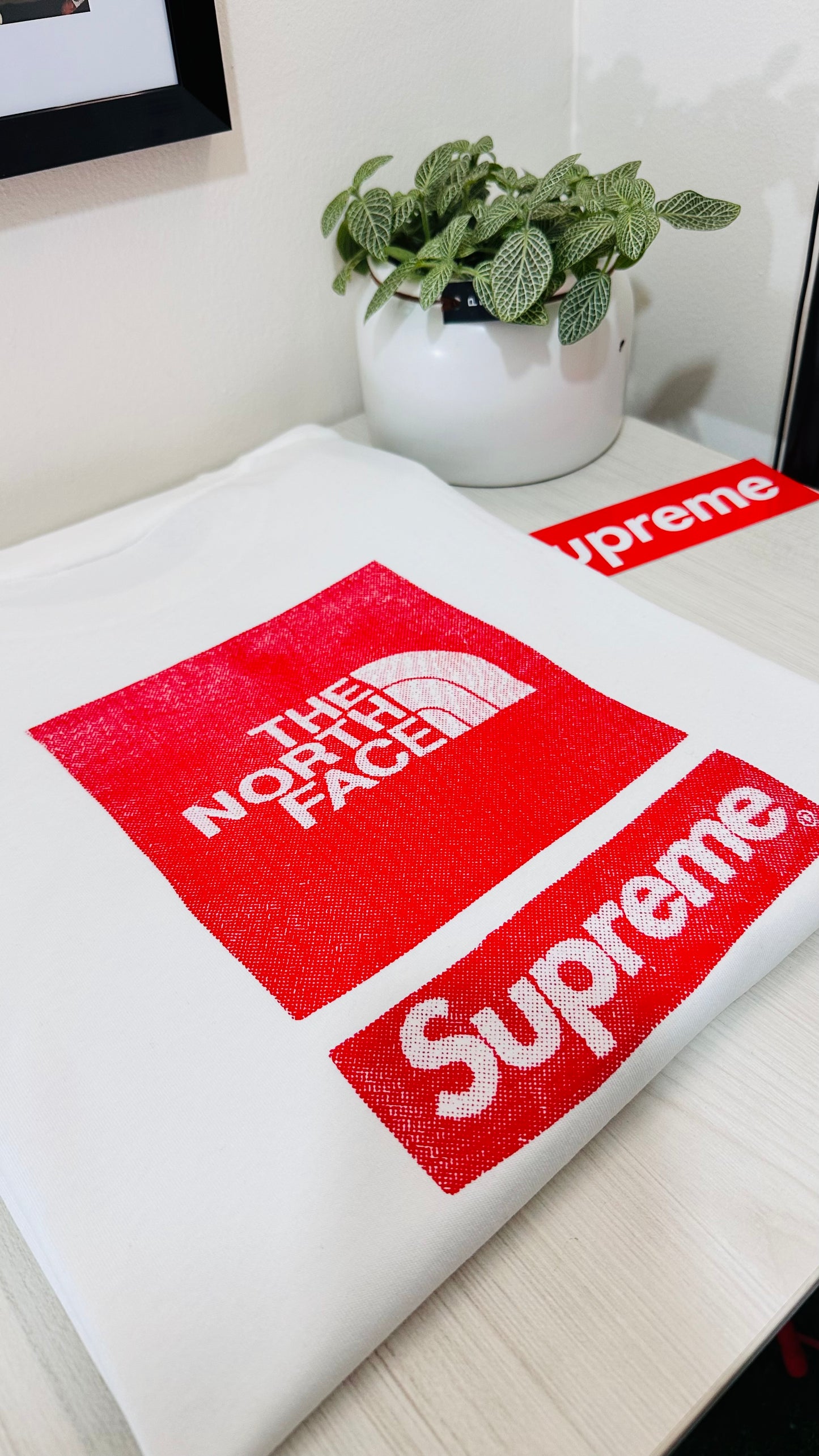 Supreme tee (THE NORTH FACE )(White) SS2024