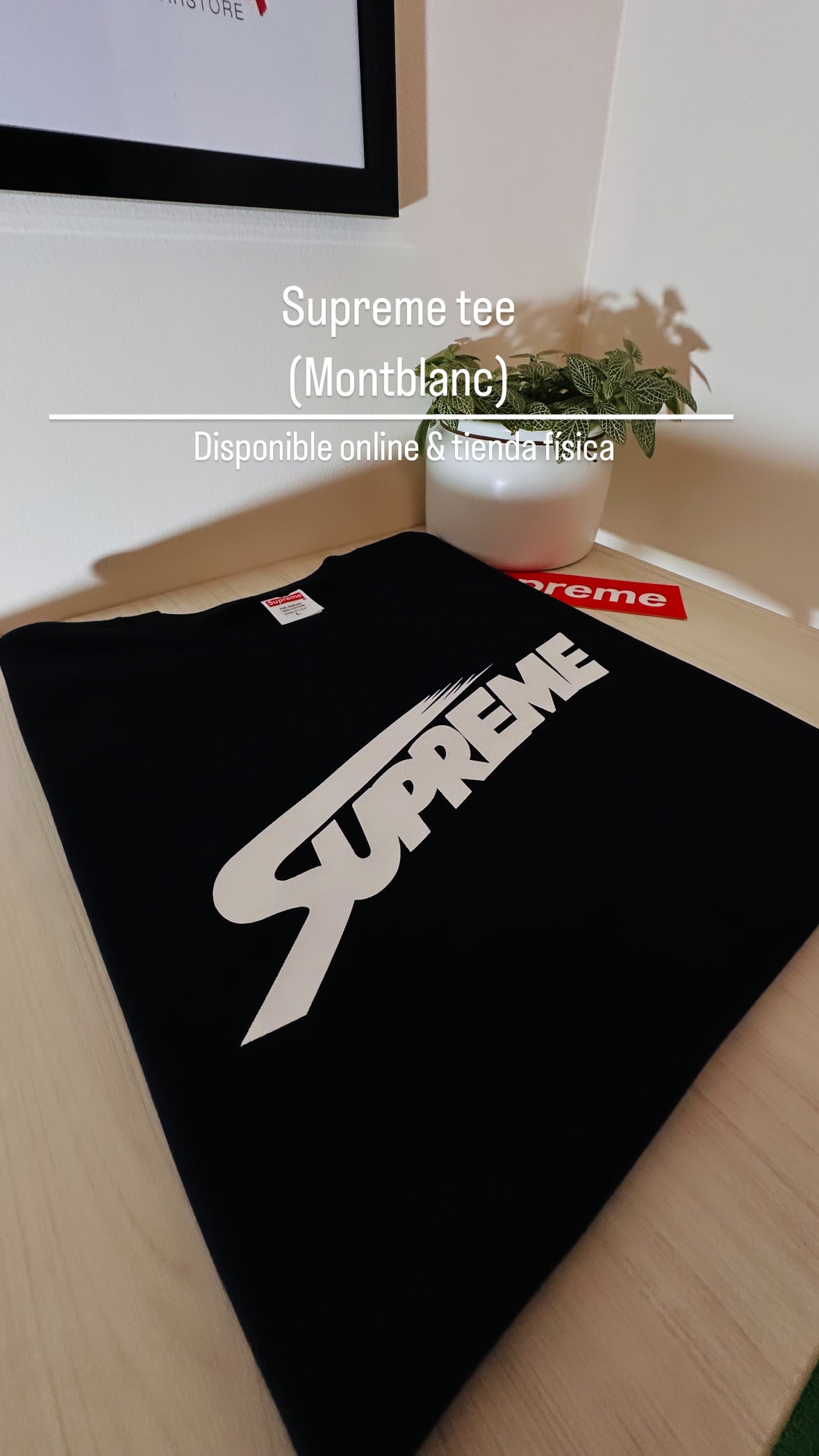 Supreme tee
 (montblanc)