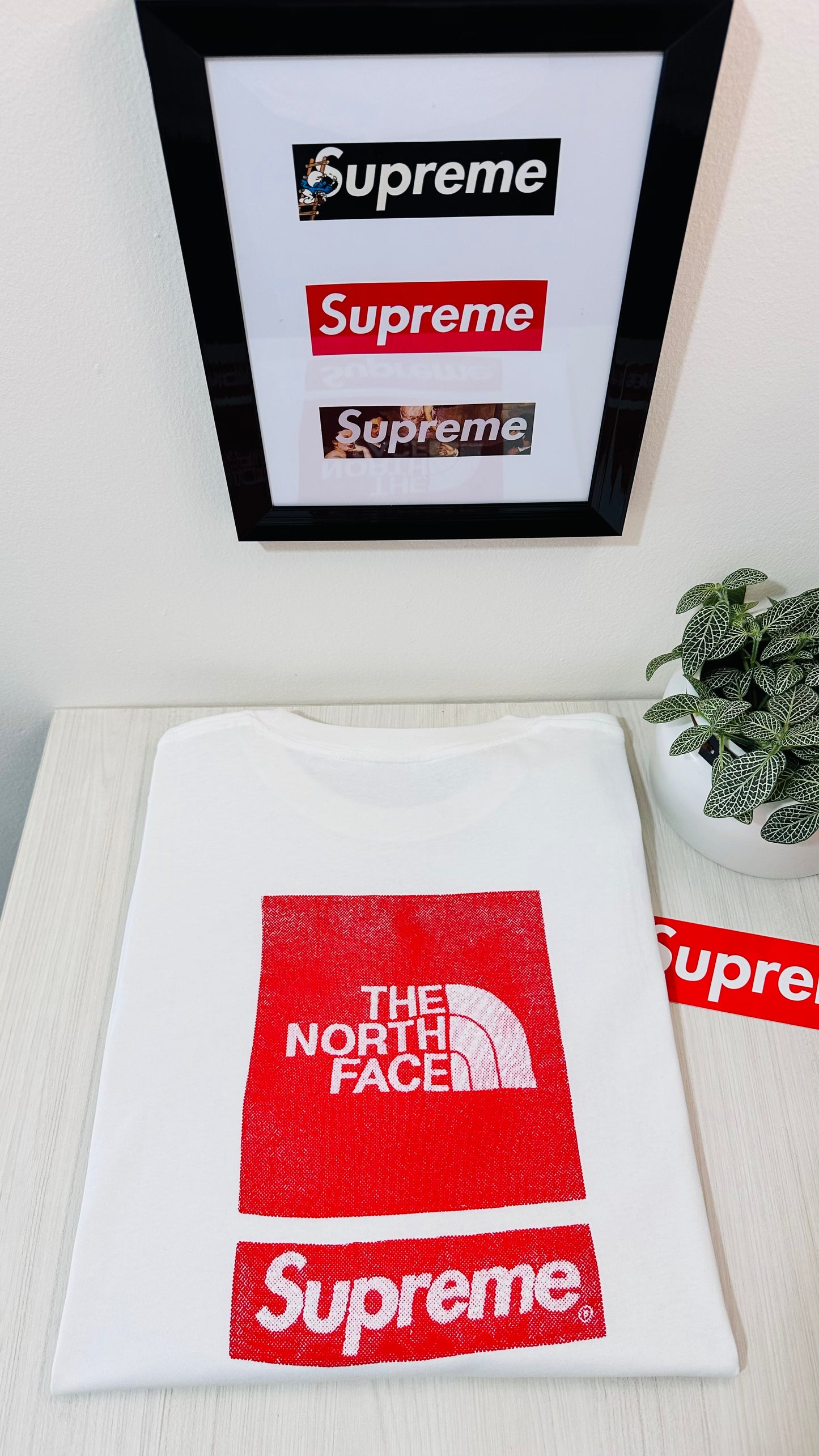 Supreme tee (THE NORTH FACE )(White) SS2024