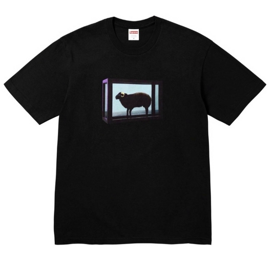 Supreme tee damien hirst