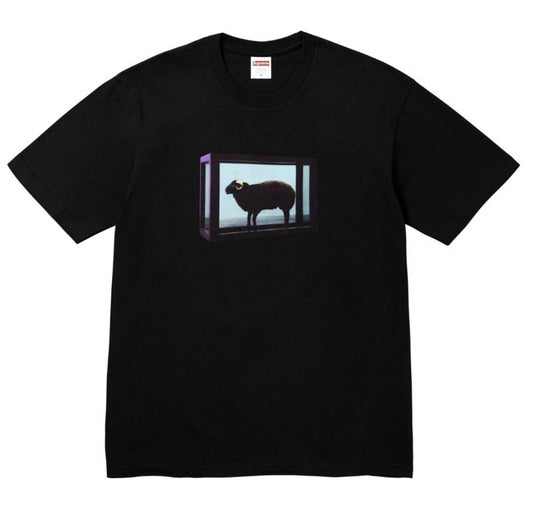 Supreme tee damien hirst
