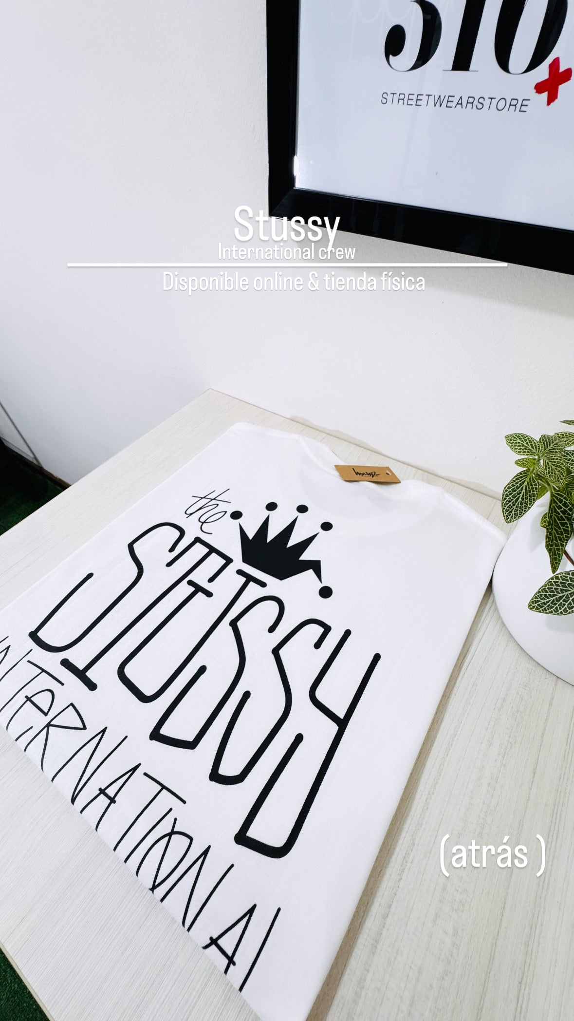 Stüssy tee (Internationalcrew)