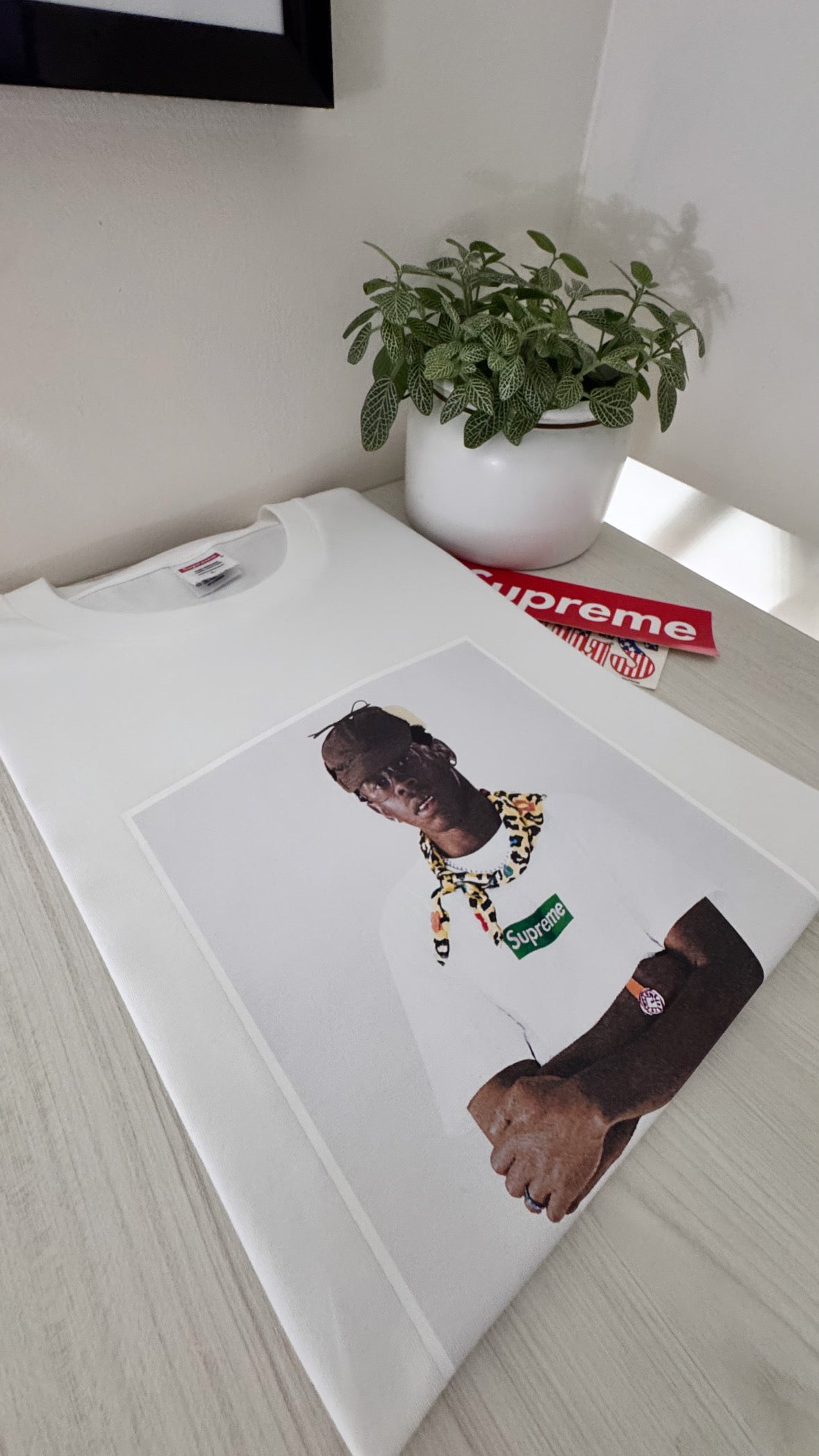 Supreme tee ( tyler the creator )