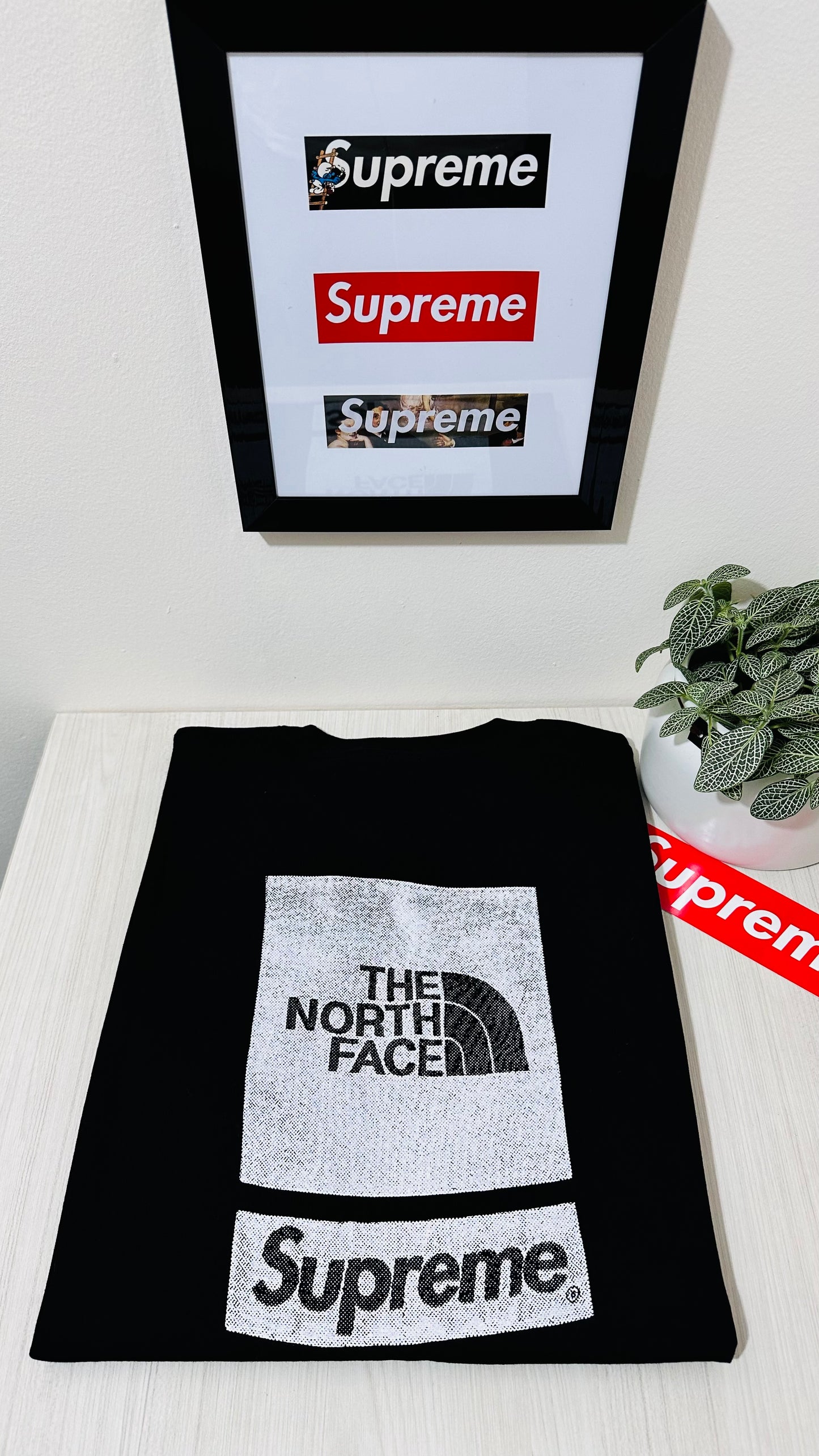 Supreme tee (THE NORTH FACE )(black ) SS2024