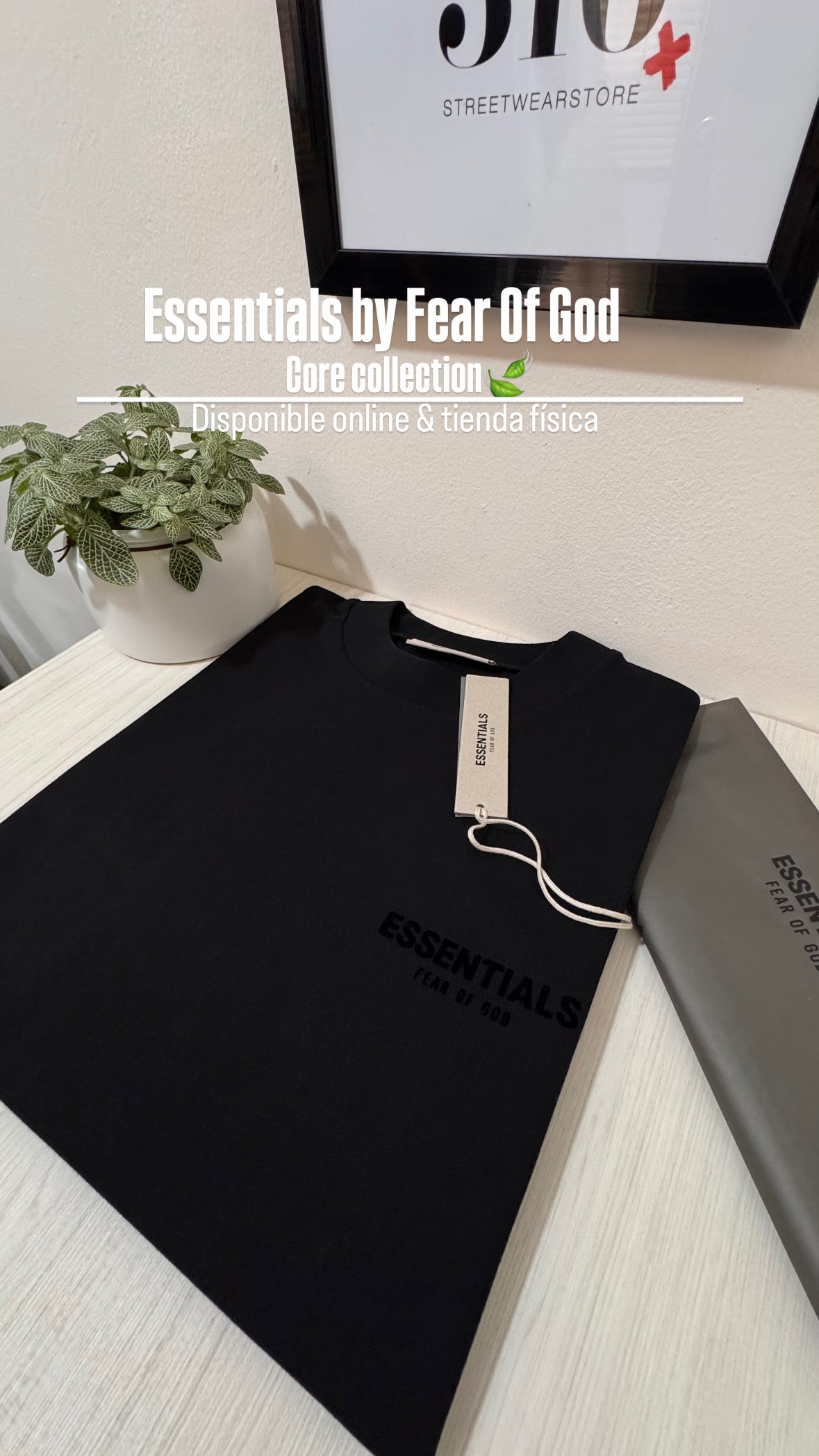 ESSENTIALS t-shirt Core collection 2022