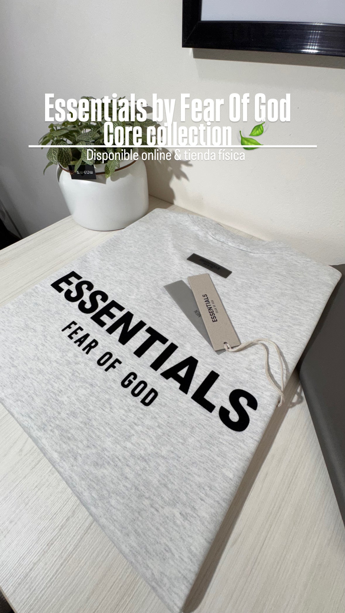 ESSENTIALS t-shirt                          Core collection 2022