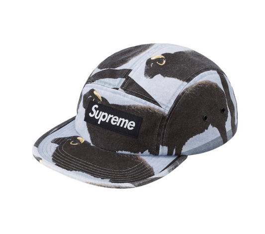 Supreme damien hirst cap