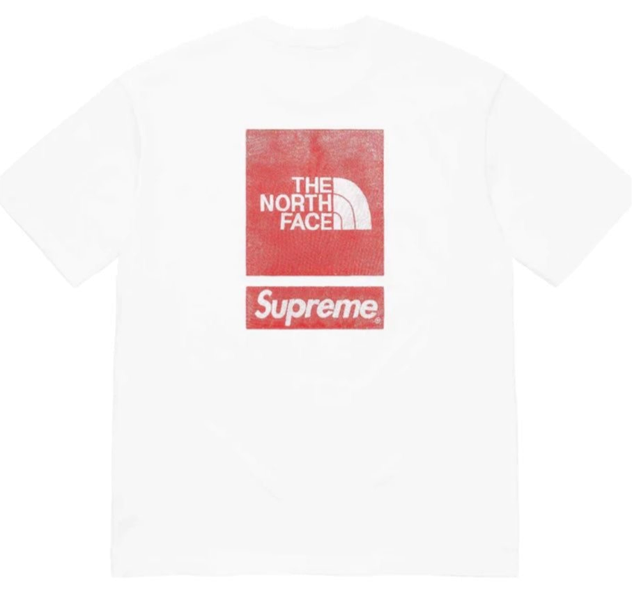 Supreme tee (THE NORTH FACE )(White) SS2024