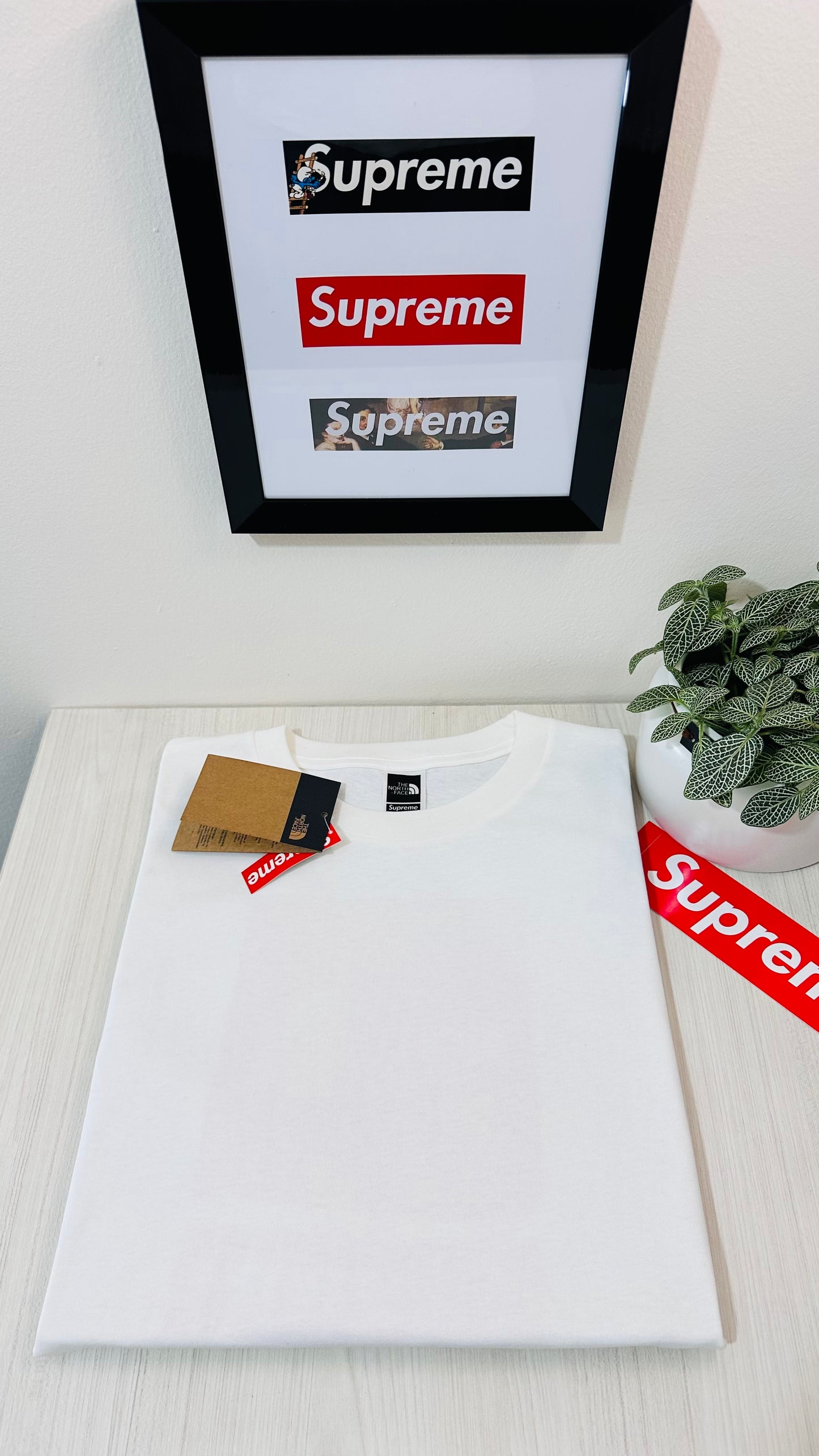 Supreme tee (THE NORTH FACE )(White) SS2024