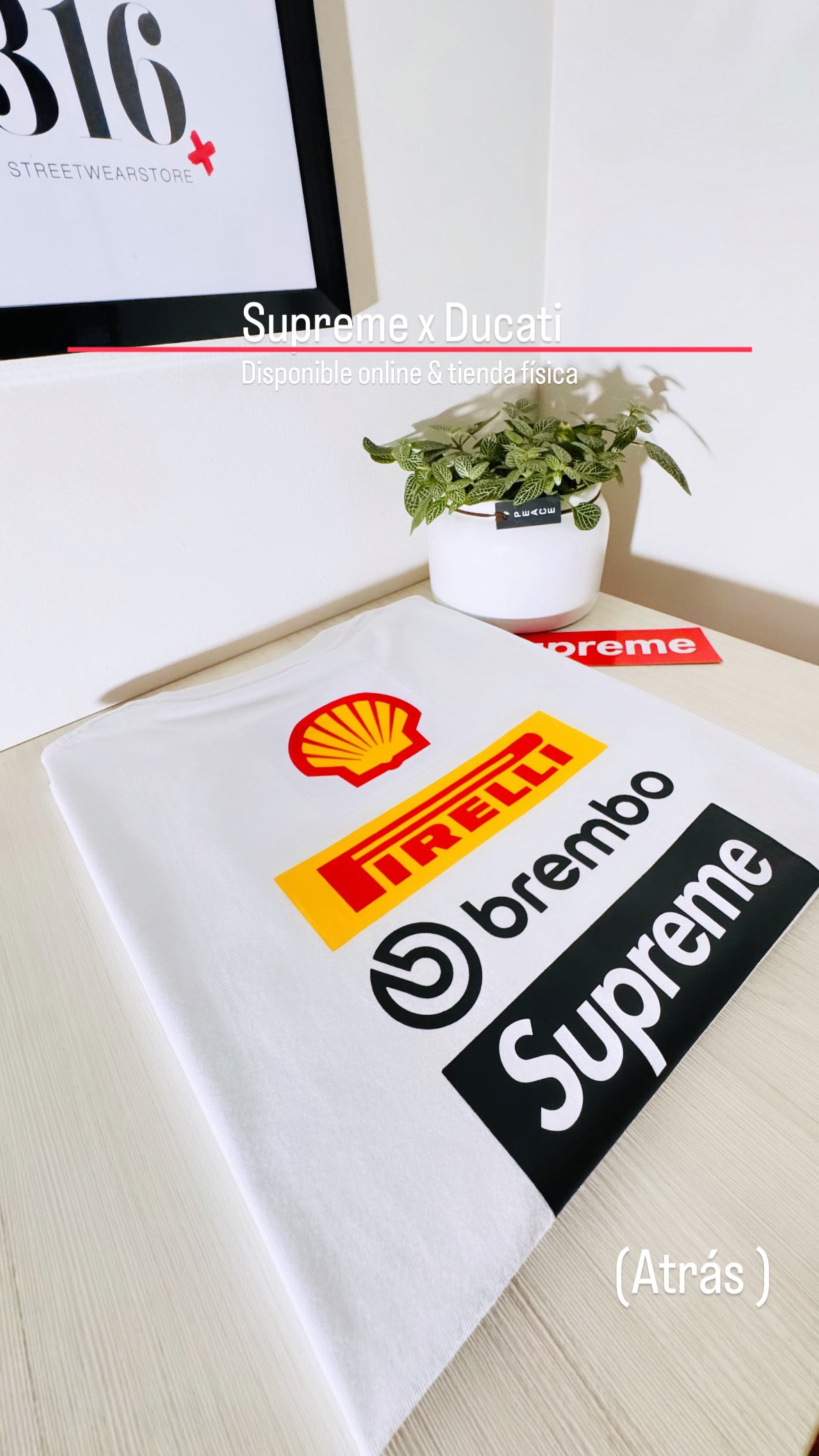 Supreme tee (Ducati logo )