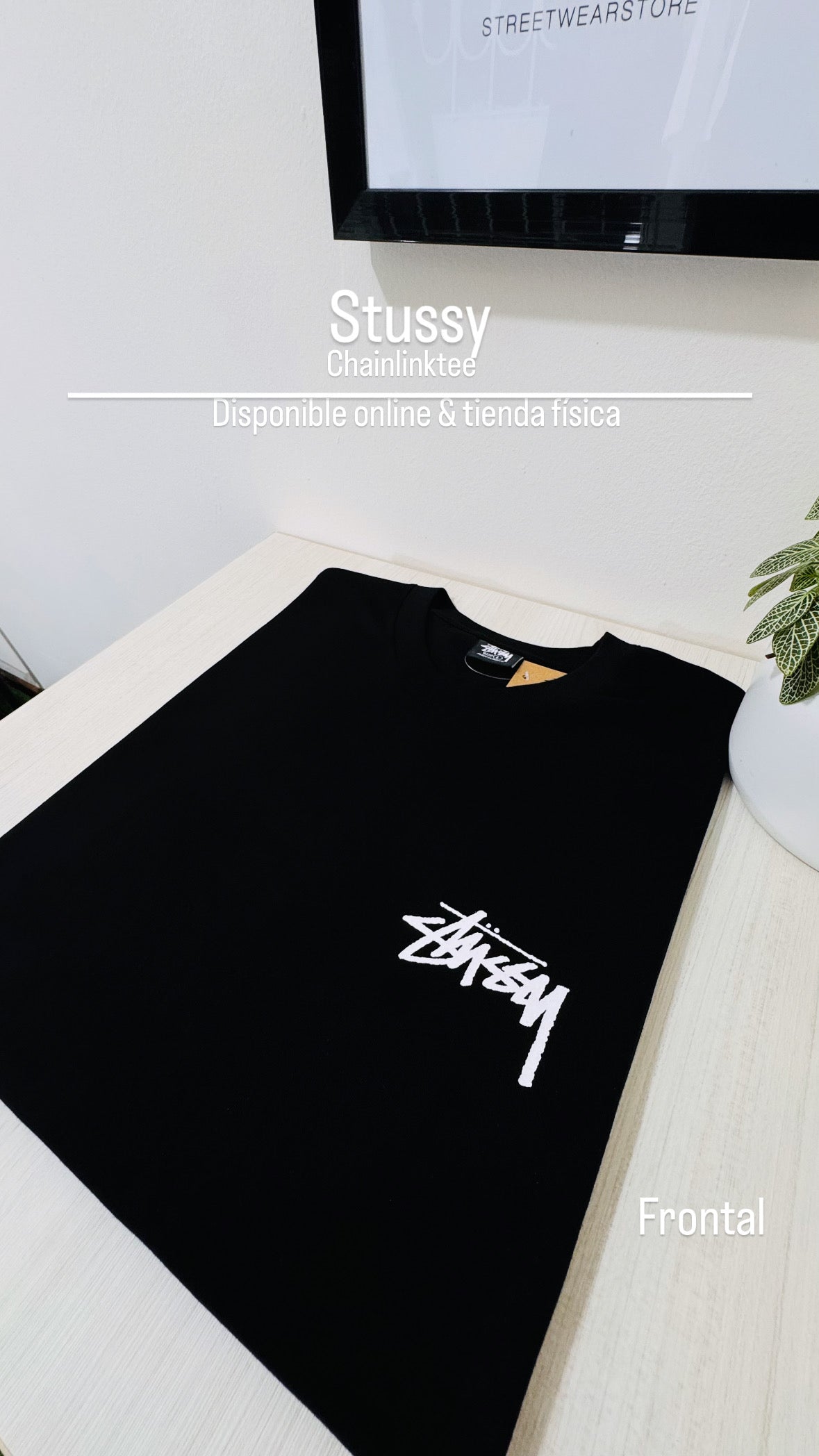 Stüssy tee (Chainlink)