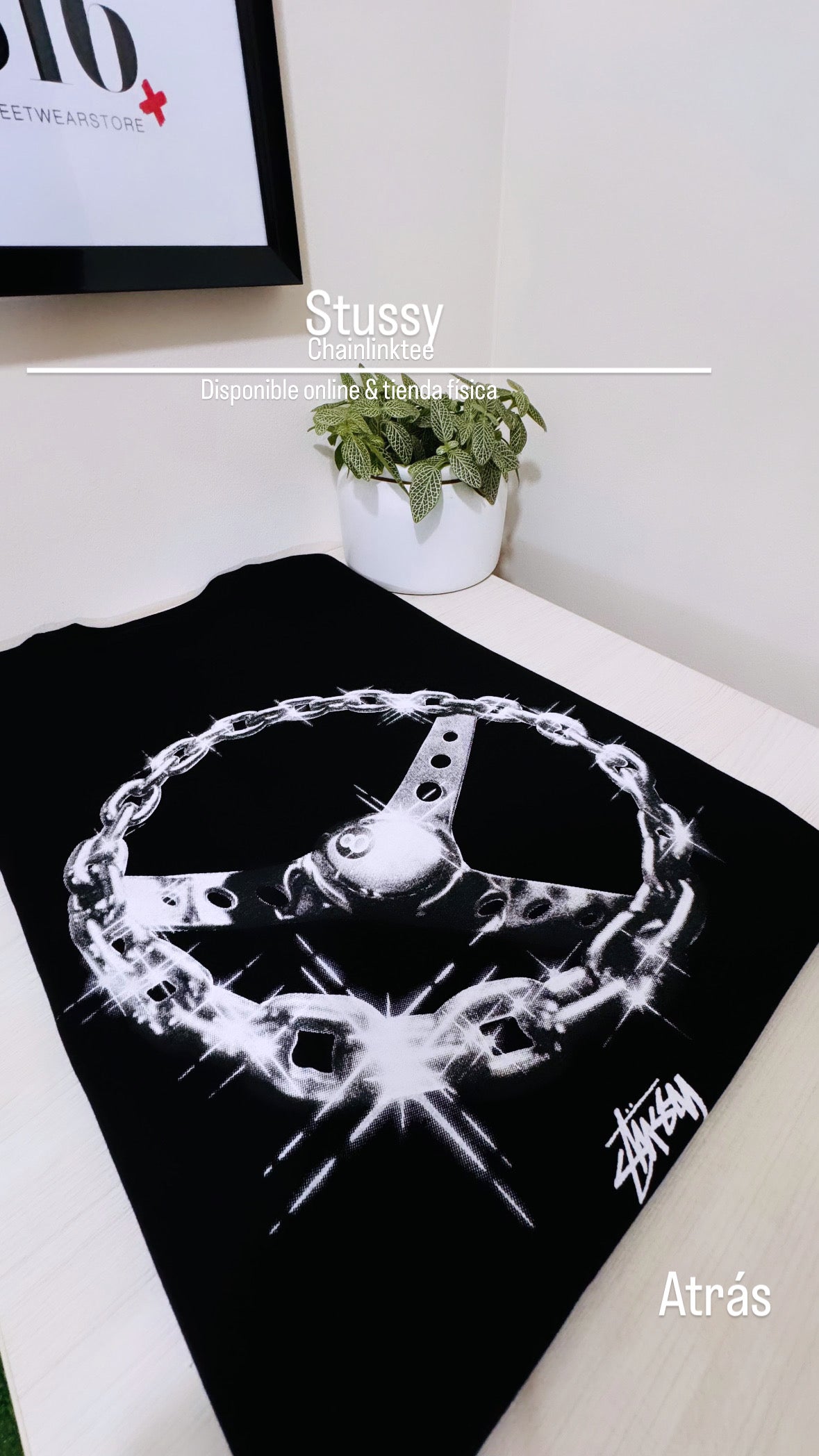 Stüssy tee (Chainlink)